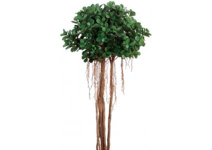 Textilpflanze Figus Panda 140 cm Naturstamm