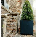 Pflanzk�bel Altea 47x47 cm anthrazit Aktionspreis