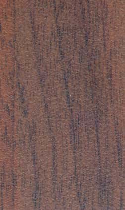 Nussbaum Nr. 89