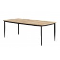 B-Garden Gartentisch Elena 220x100 cm