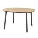 Cordial Gartentisch 120x120 cm Roble Holz anthrazit Alexander Rose