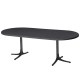 Schaffner Bodensee Glasfasertisch 160/218x95 cm oval
